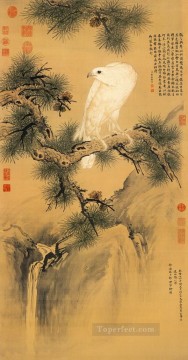 松の伝統的な中国語のラング輝く白い鳥 Oil Paintings
